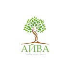 Айва